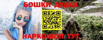индика Абинск